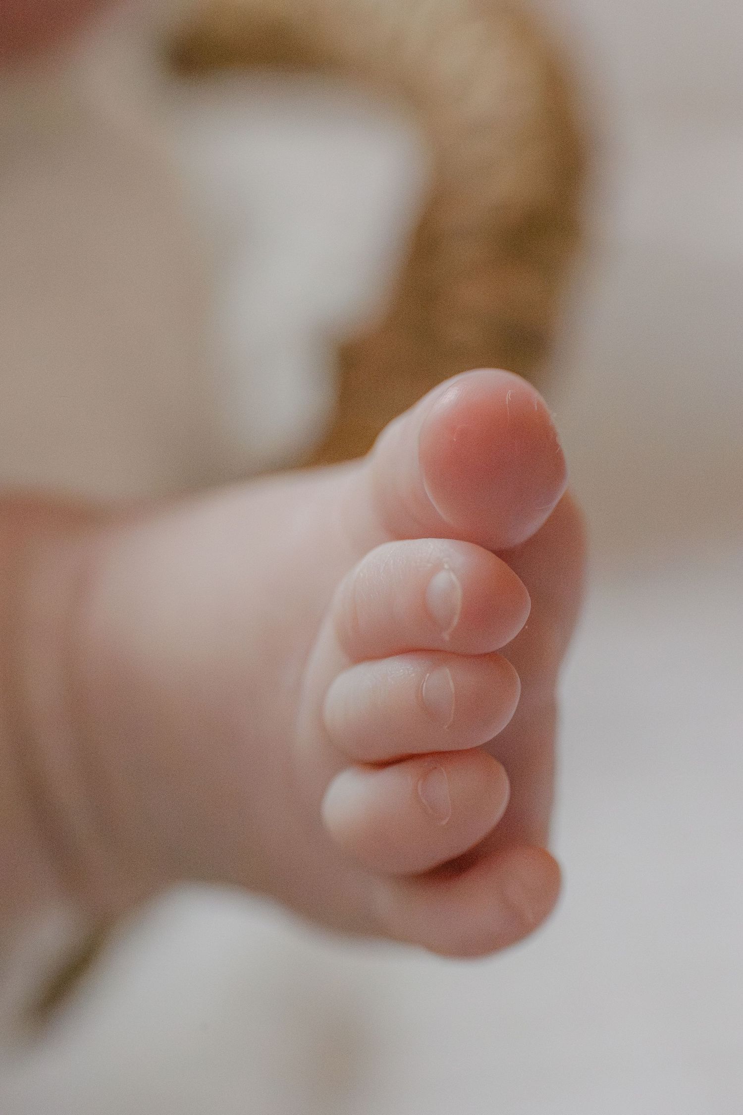 Close-up view of tiny baby feet showing delicate pink toes against a soft blurred background.