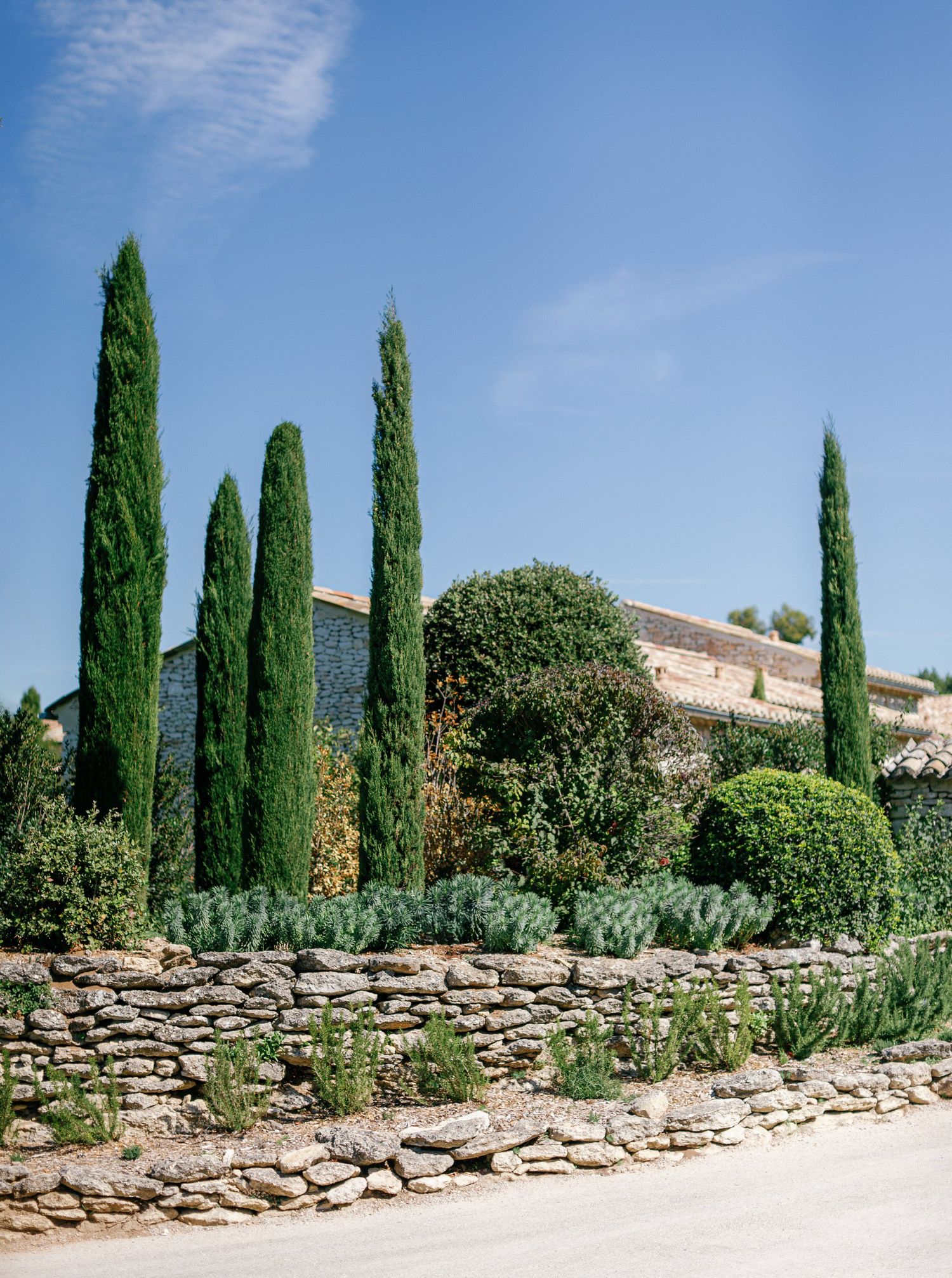 Mediterranean garden landscape with tall cypress trees and rustic stone wall along a winding path under blue sky.