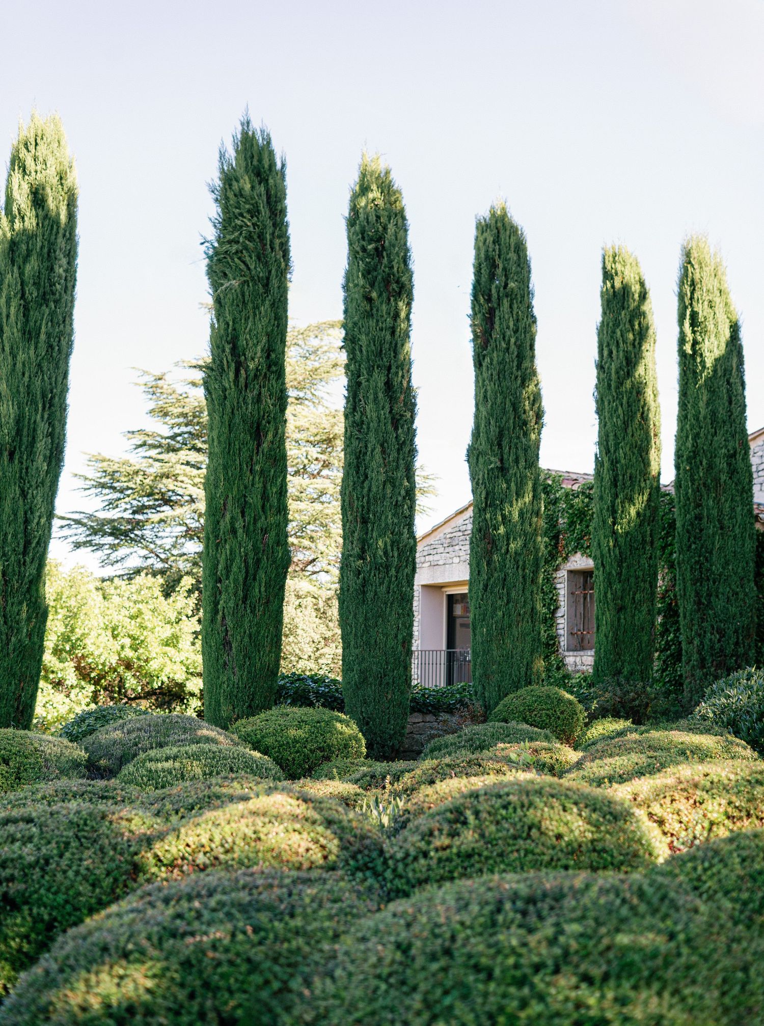 Row of tall cypress trees and manicured hedges creating a formal garden border in Mediterranean landscape.
