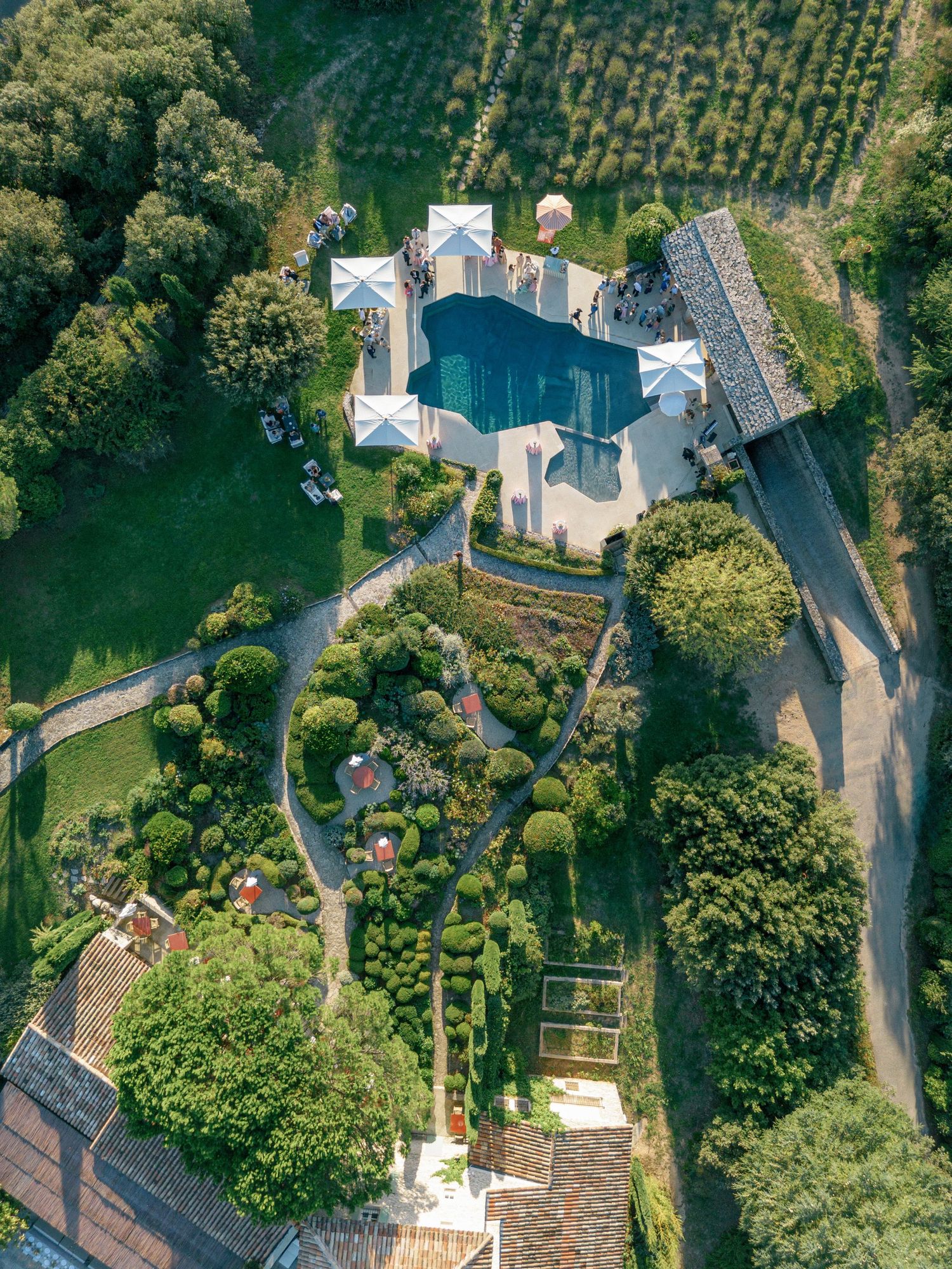 Aerial view of luxury homes with swimming pools and landscaped gardens surrounded by lush trees and winding roads.