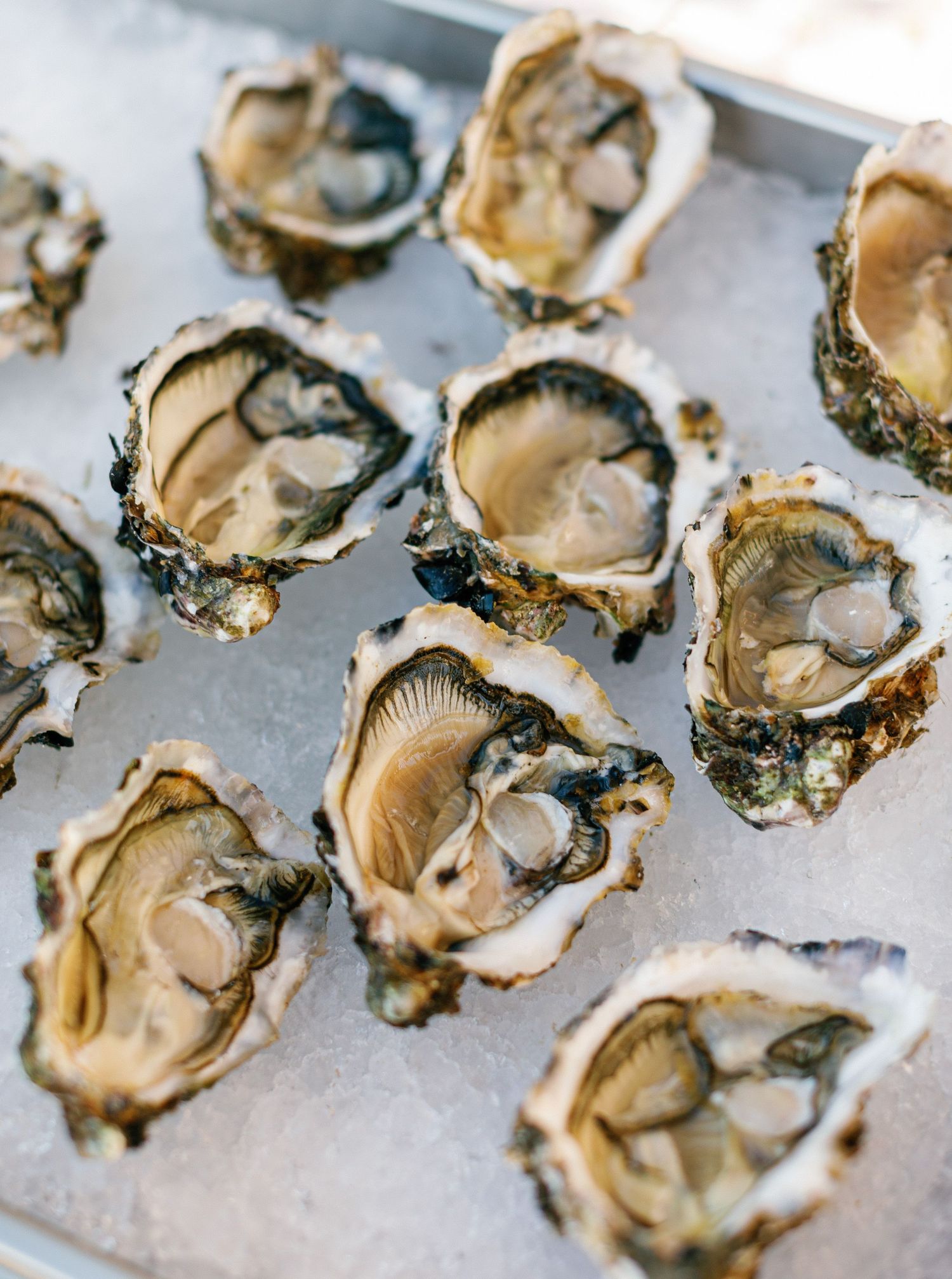 Fresh raw oysters on ice arranged in a line display plump meat in their half shells.