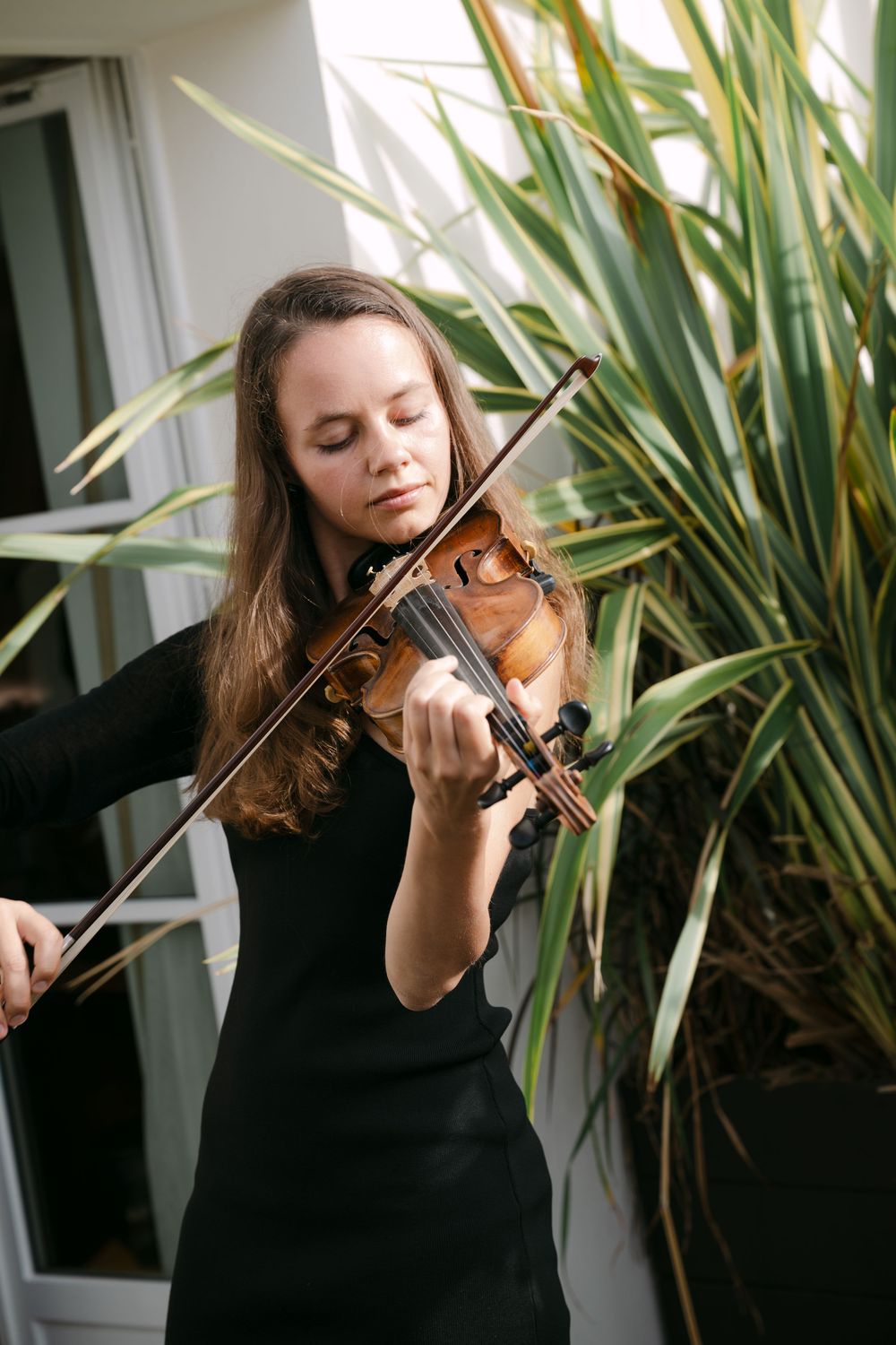 A violinist performs while wearing a black dress against a backdrop of green plants.
