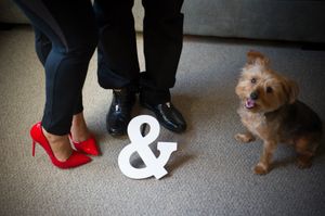 Ruben Burgos Chicago Wedding Photographer, G&R Wedding Photographer, Wedding Photography Chicago, G&R Wedding Photos