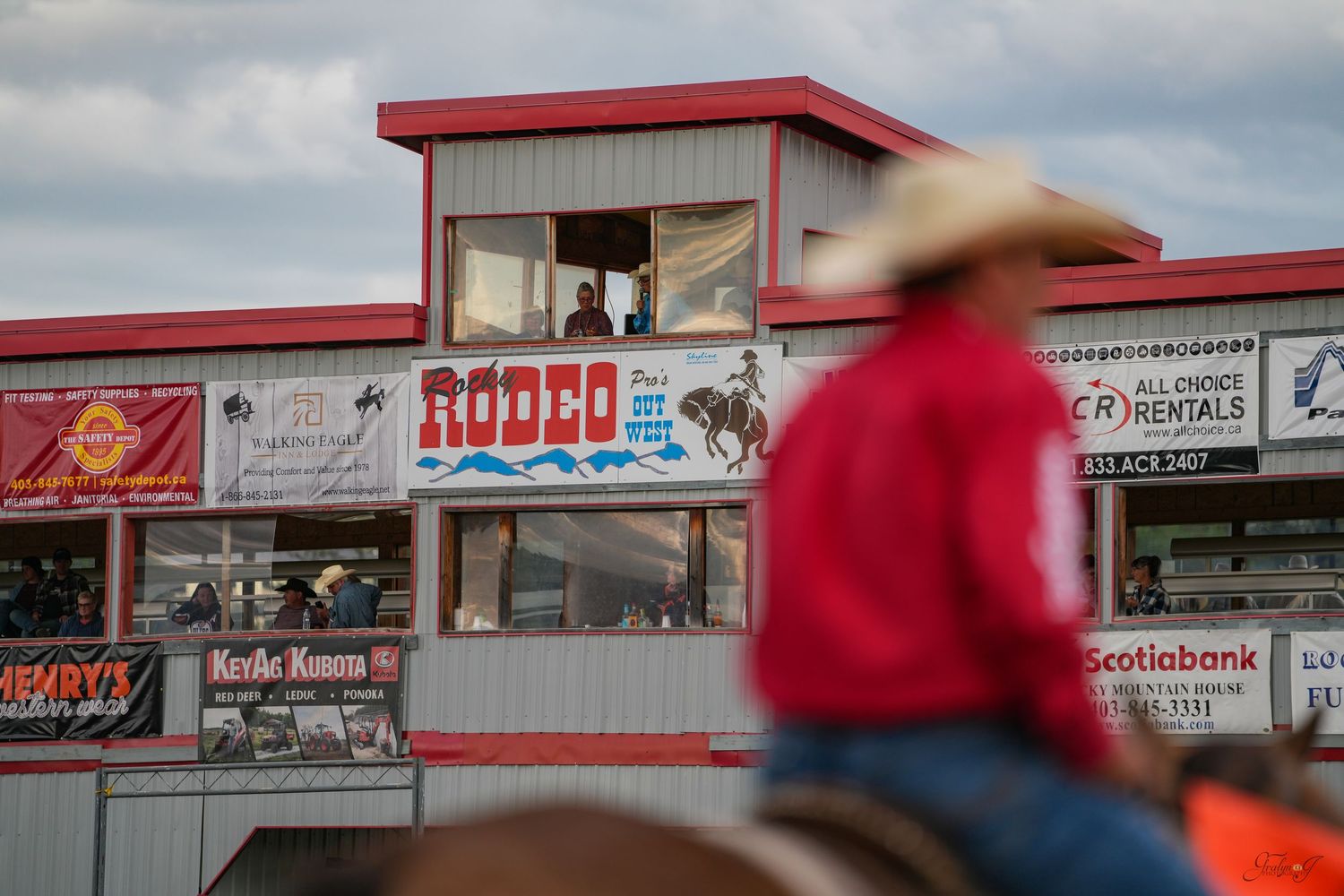 Falkland Stampede