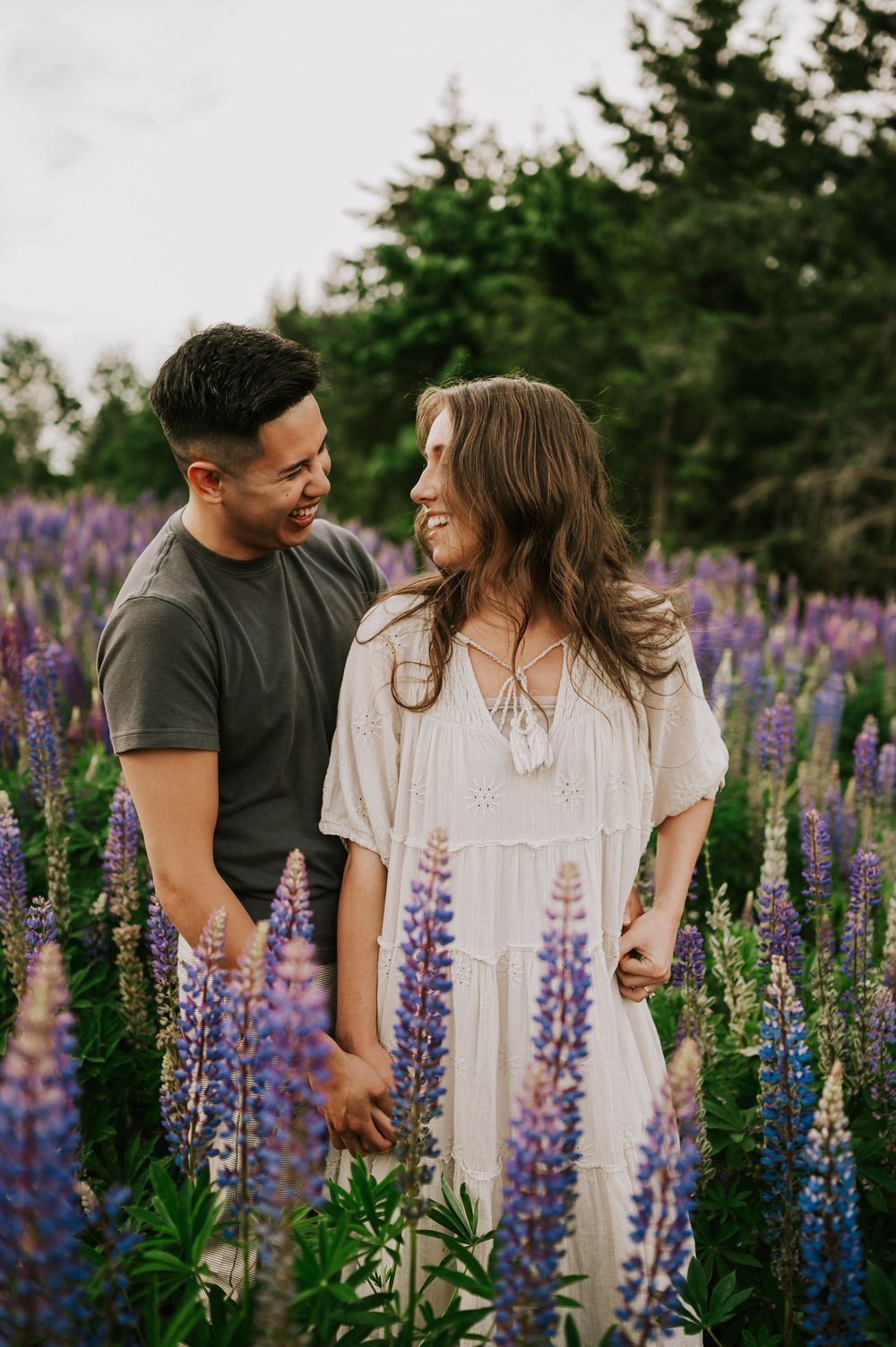 Portrait of couple holding hands in lupine field Comox Valley wildflower field locations Photography by Photographer Soulfull Photographs