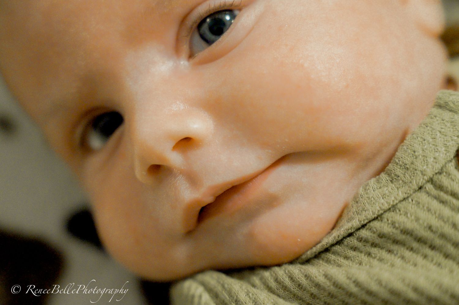 Close-up artistic detail shots showing soft textures and gentle lighting.