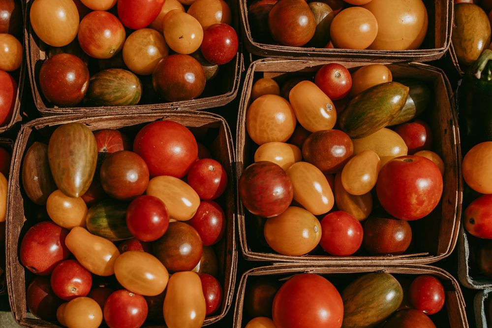 Close up of cherry tomatoes at farmers market, Whitney Popp photographer