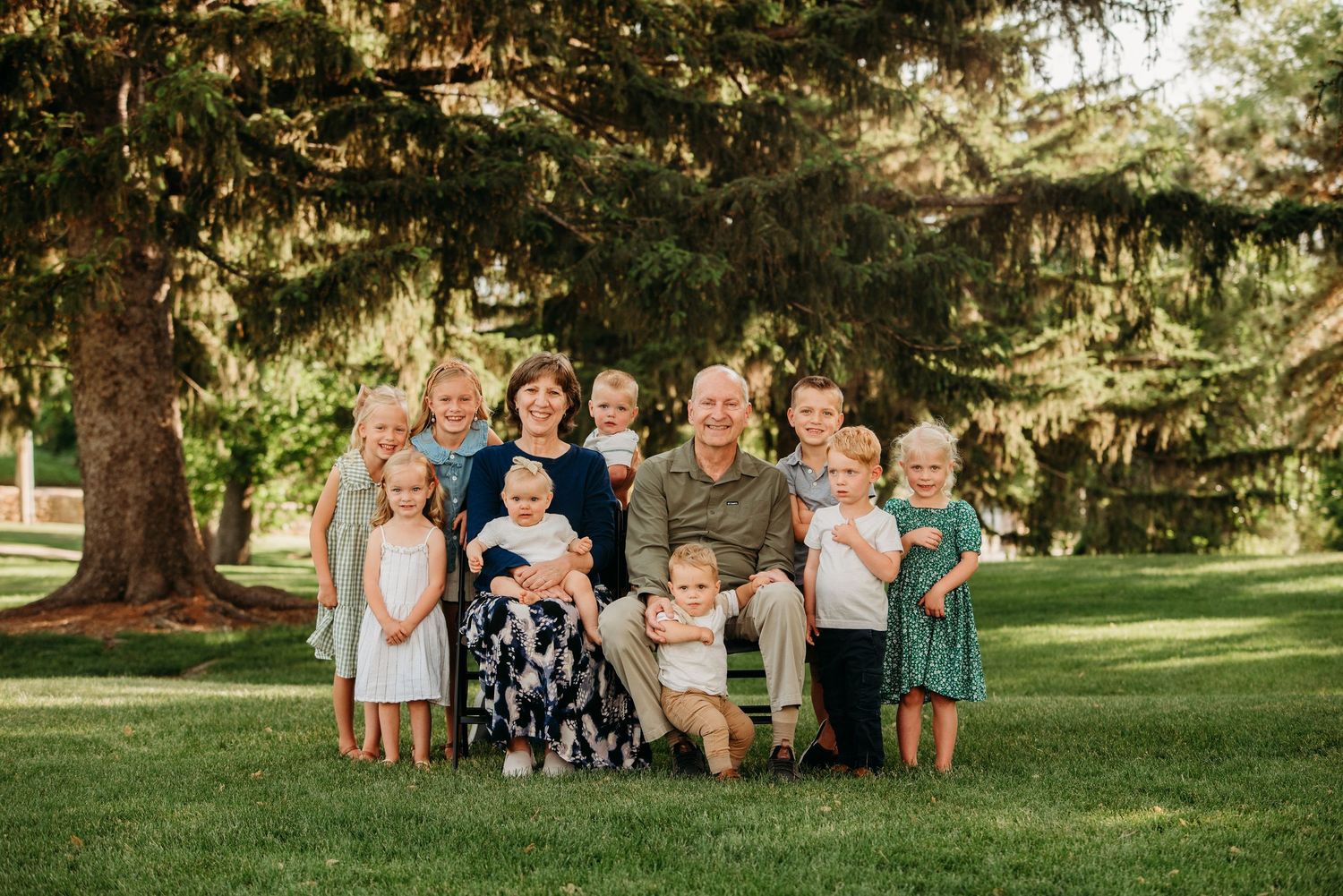 Group portrait on lush green lawn beneath large evergreen tree in warm summer evening light.
