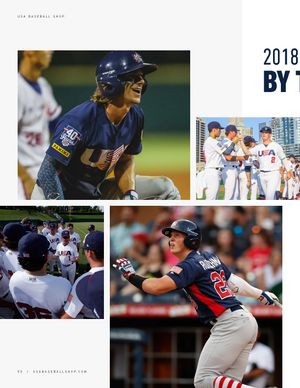 USA Baseball players celebrating during 2018 season highlights collage featuring game action photos.