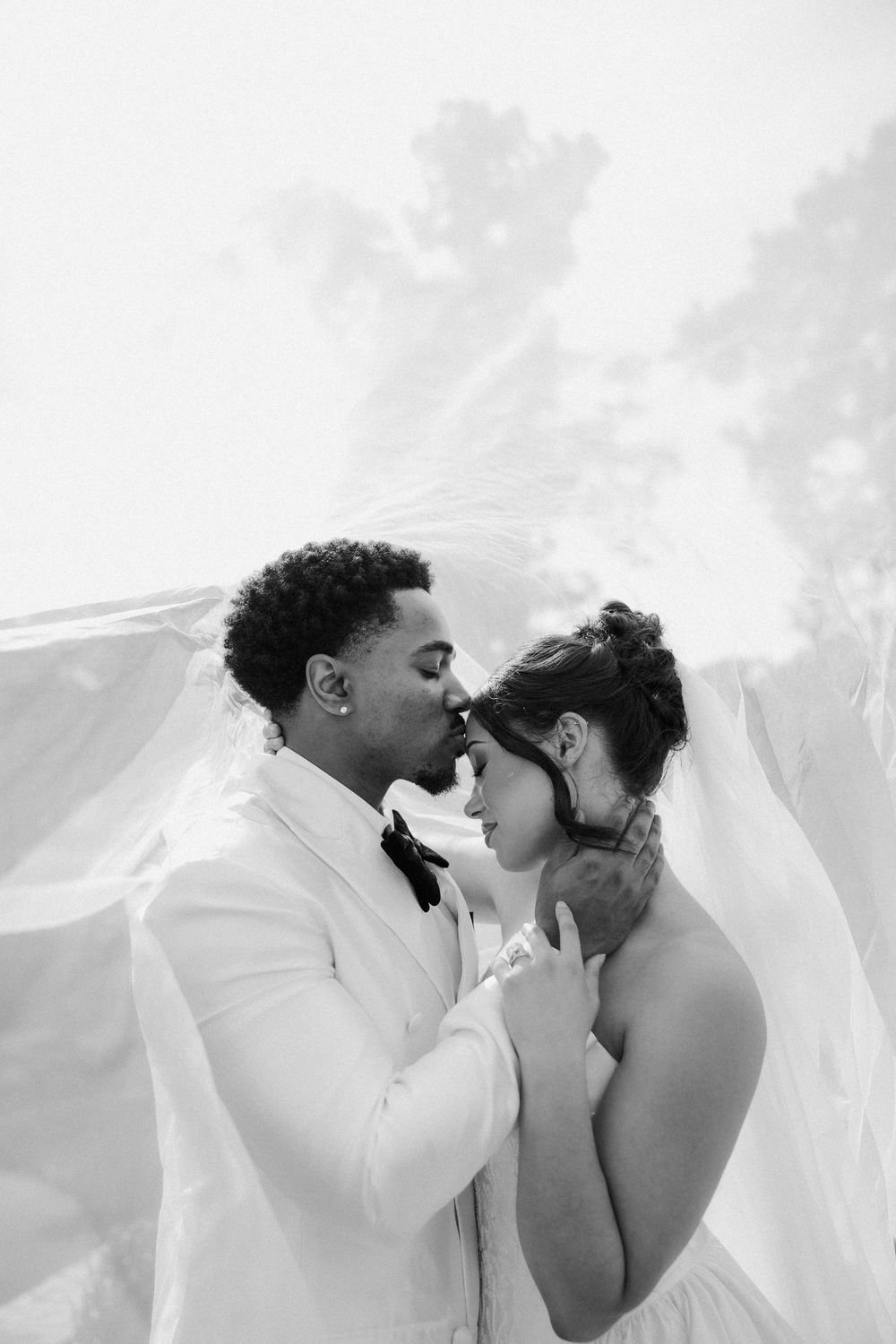 Black and white photo of a bride and groom sharing a tender kiss beneath a flowing veil on their wedding day.