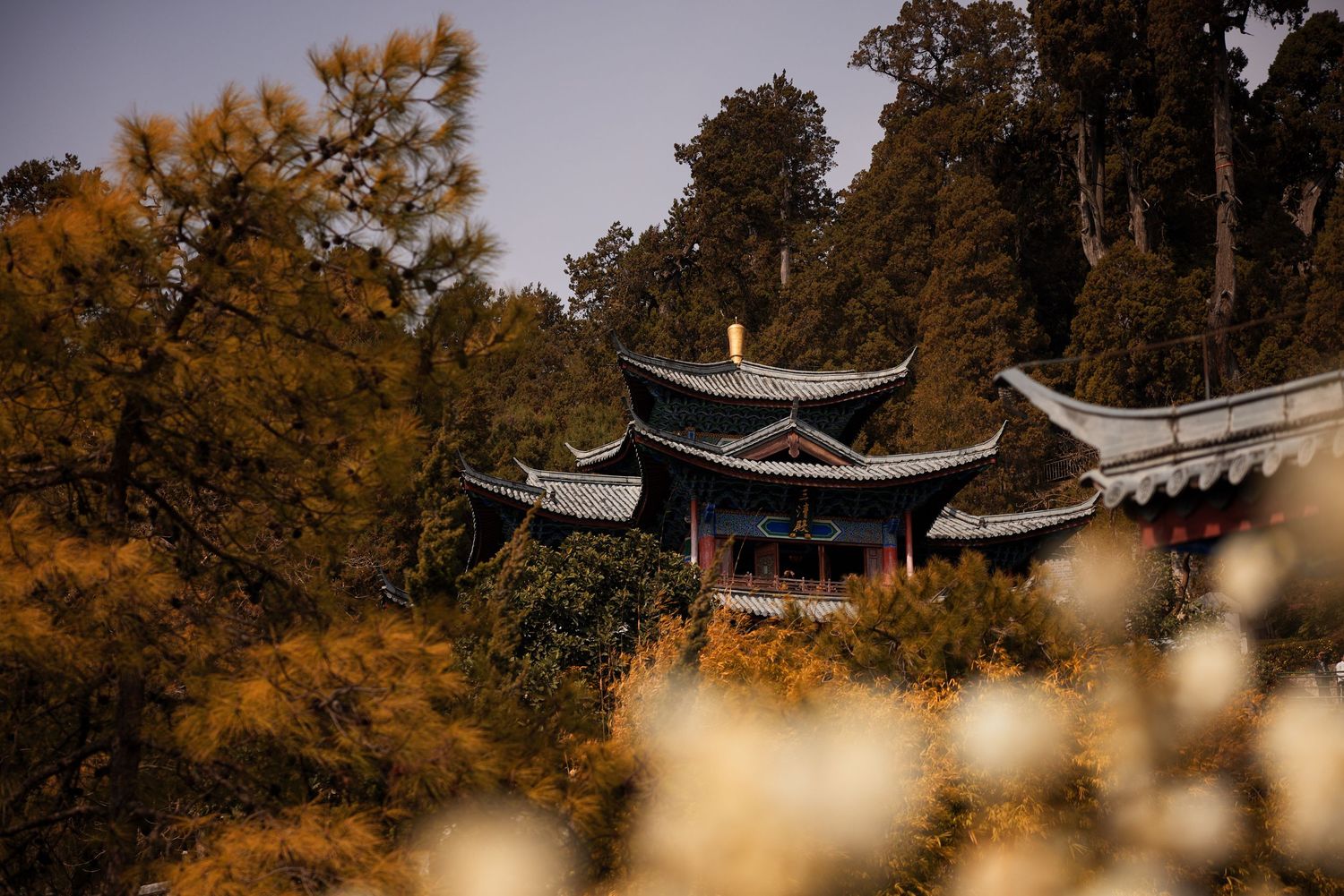 Traditional Chinese pagoda with curved roofs nestled among autumn trees in golden light.