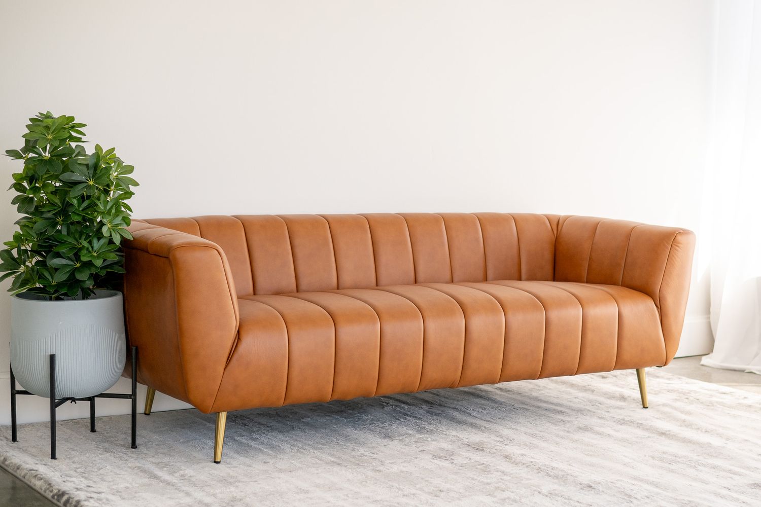 Modern tan leather channel-tufted sofa with gold legs sits beside potted plant against white wall in Centennial, Colorado.