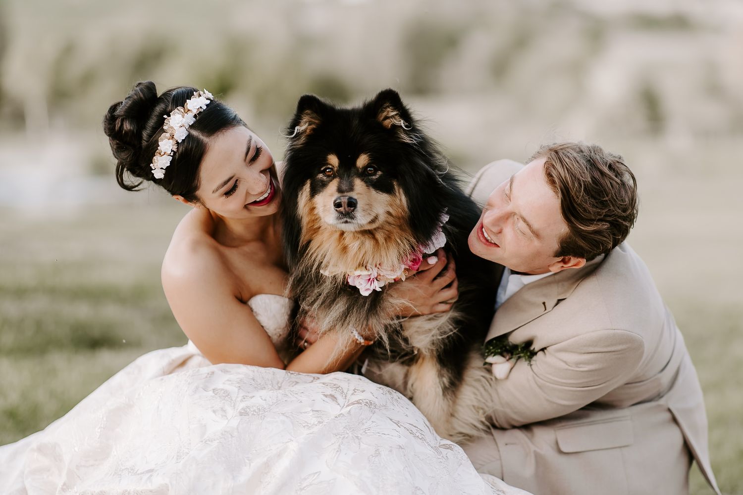 A couple in wedding attire shares a joyful moment with their fluffy black and brown Finnish Lapphund dog outdoors.