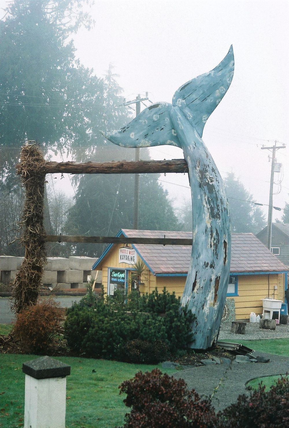 A large blue whale tail sculpture emerges from the ground in front of a small yellow building on a foggy day.