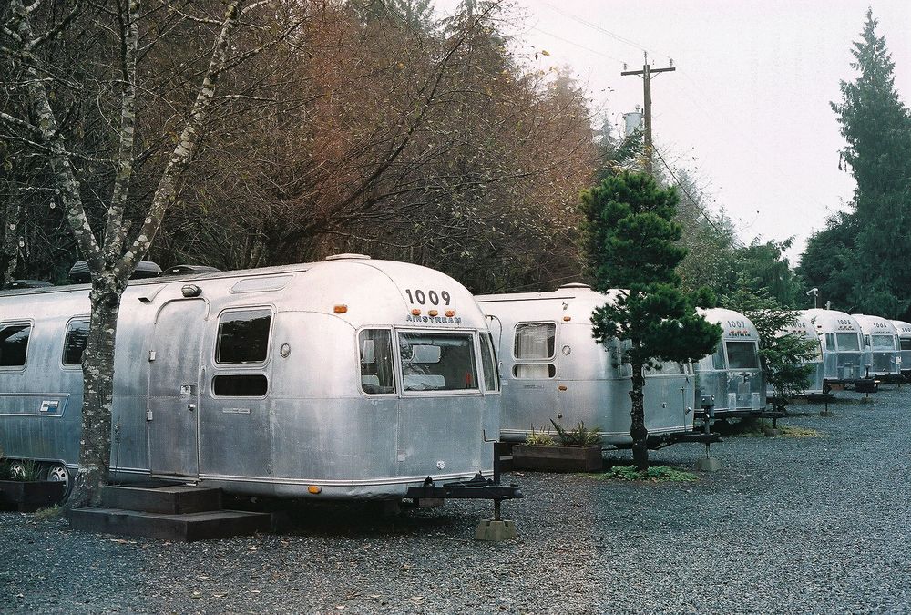 Row of vintage Airstream trailers parked in a forested campground.