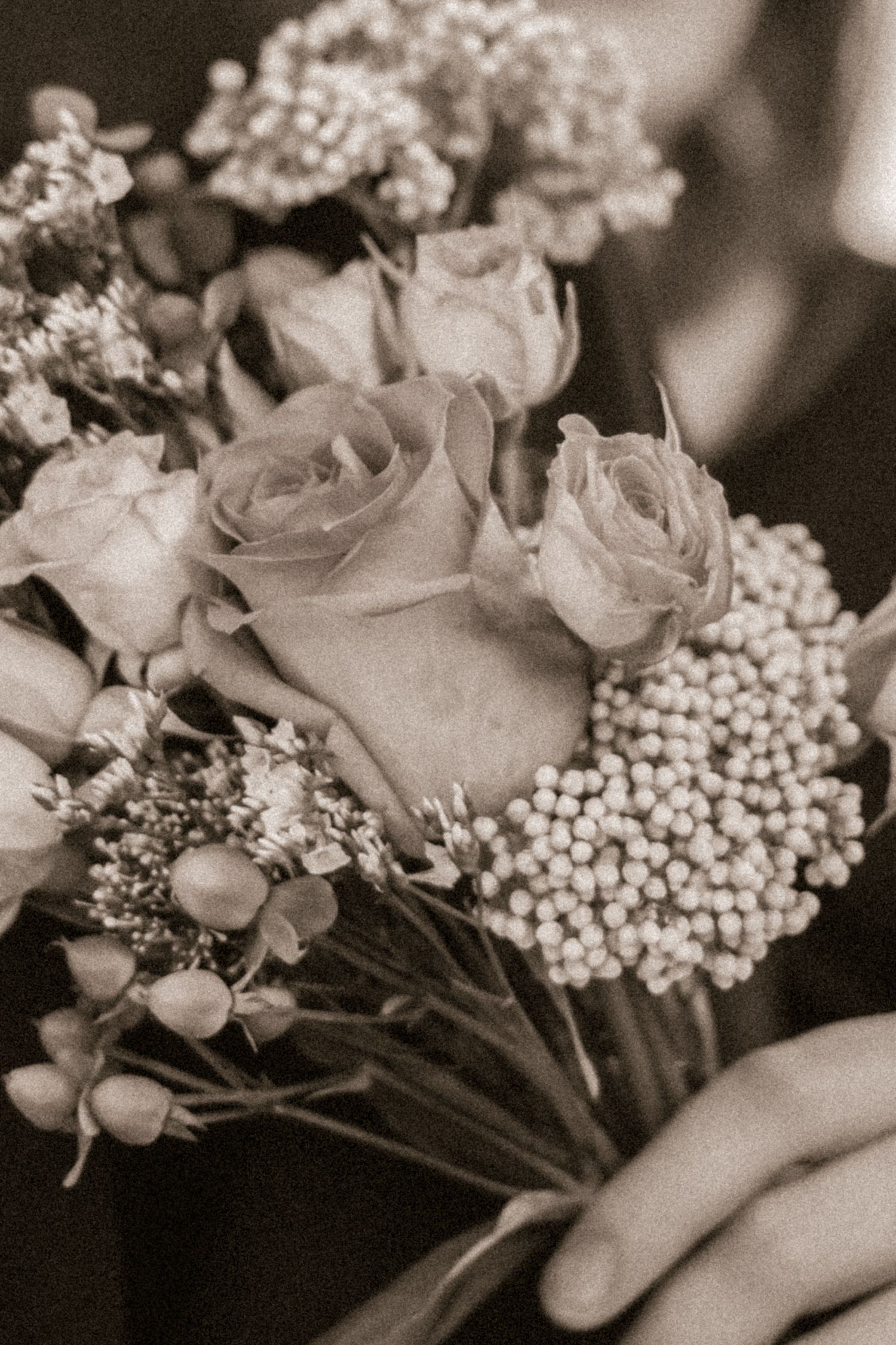 Elegant black and white close-up of roses and baby's breath flower arrangement.