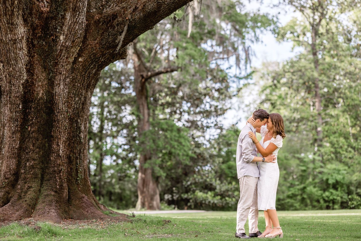 Romantic outdoor scene showing a couple embracing under a large oak tree in a sunlit park setting.
