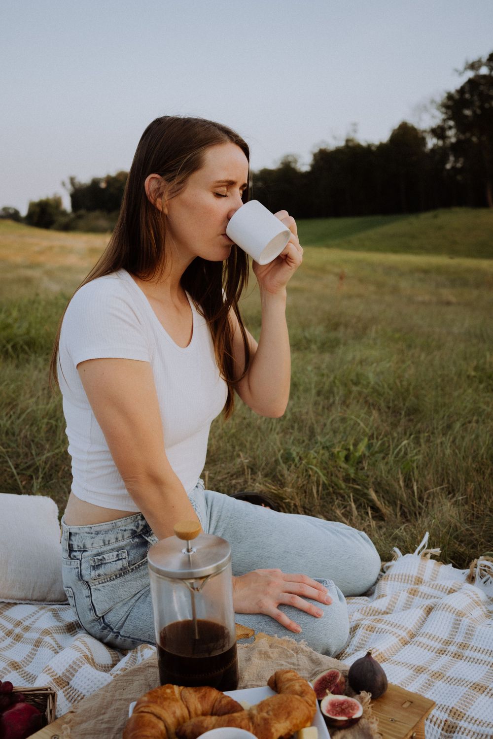 A peaceful picnic scene with coffee, pastries and fruit spread out on a plaid blanket in a meadow.