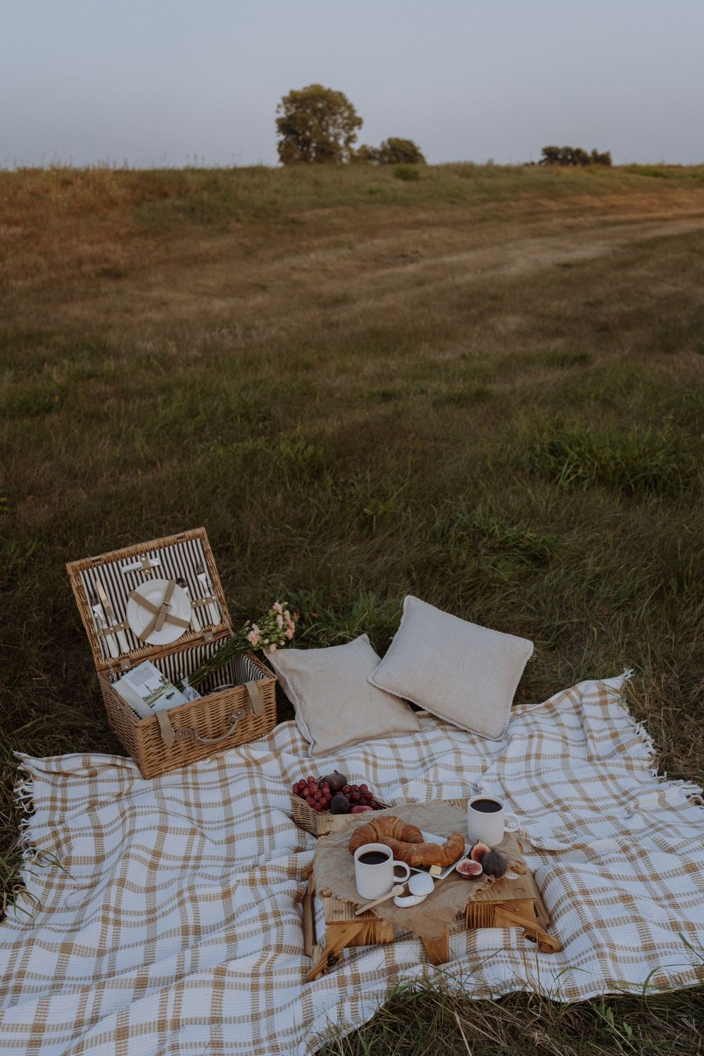 Rustic picnic setup with wicker basket, plaid blanket, and snacks laid out on grassy hillside.
