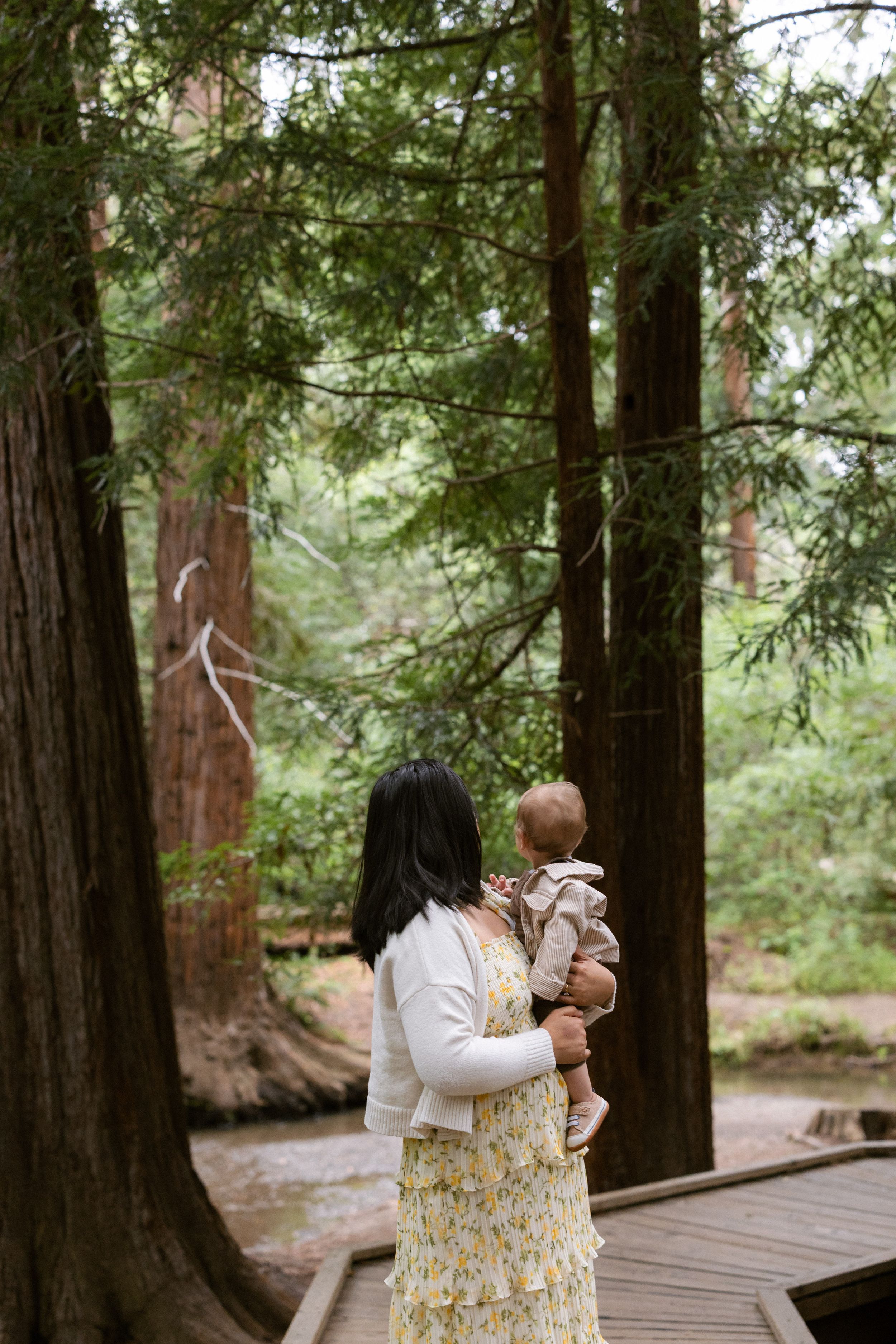 Redwoods family portraits in Bay Area