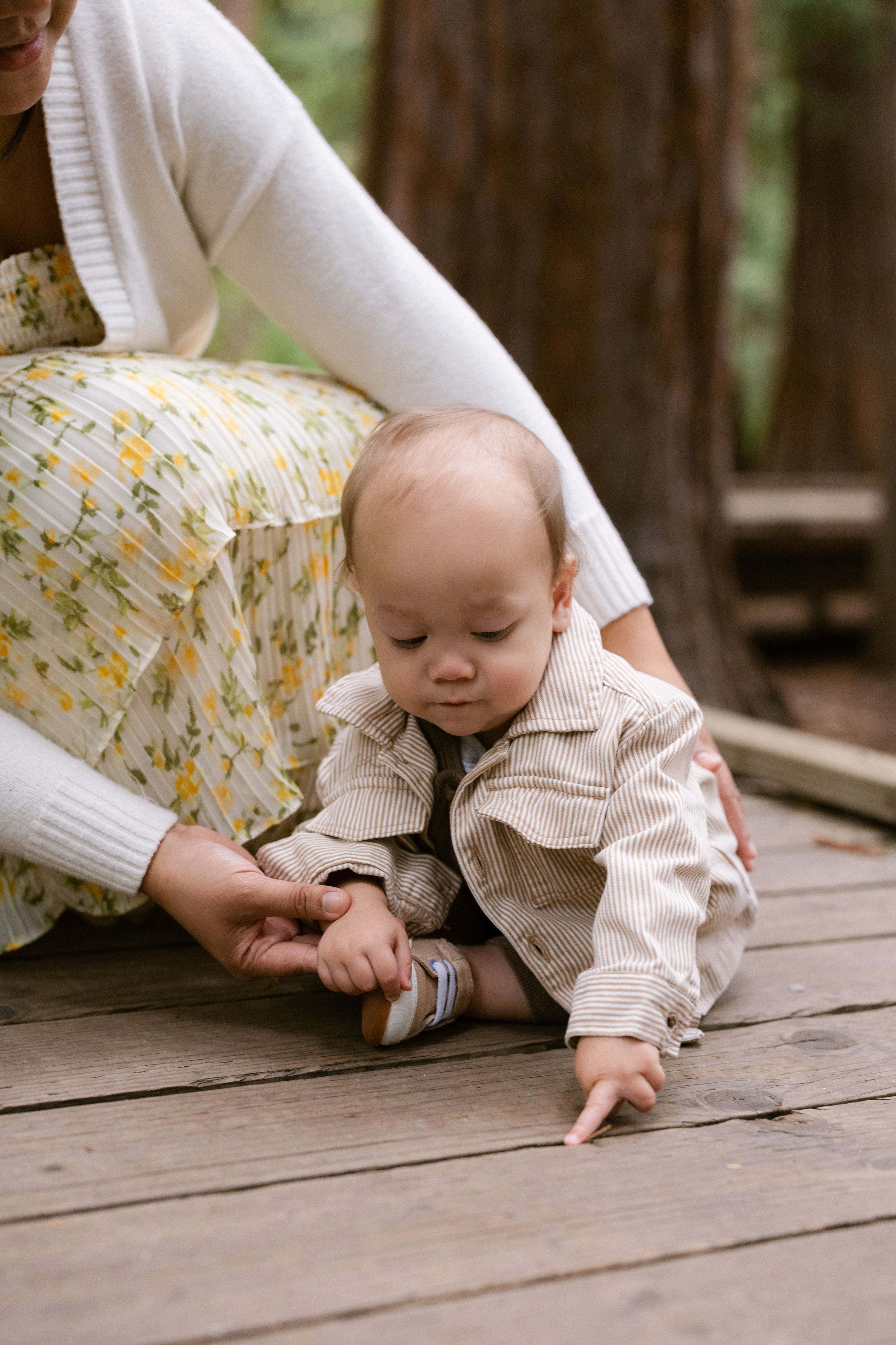 Redwoods family portraits in Bay Area