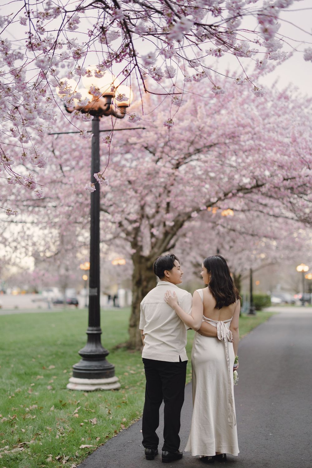 cherry-blossom-engagement-session-Toronto.jpg
 cherry blossom engagement photoshoot in Toronto