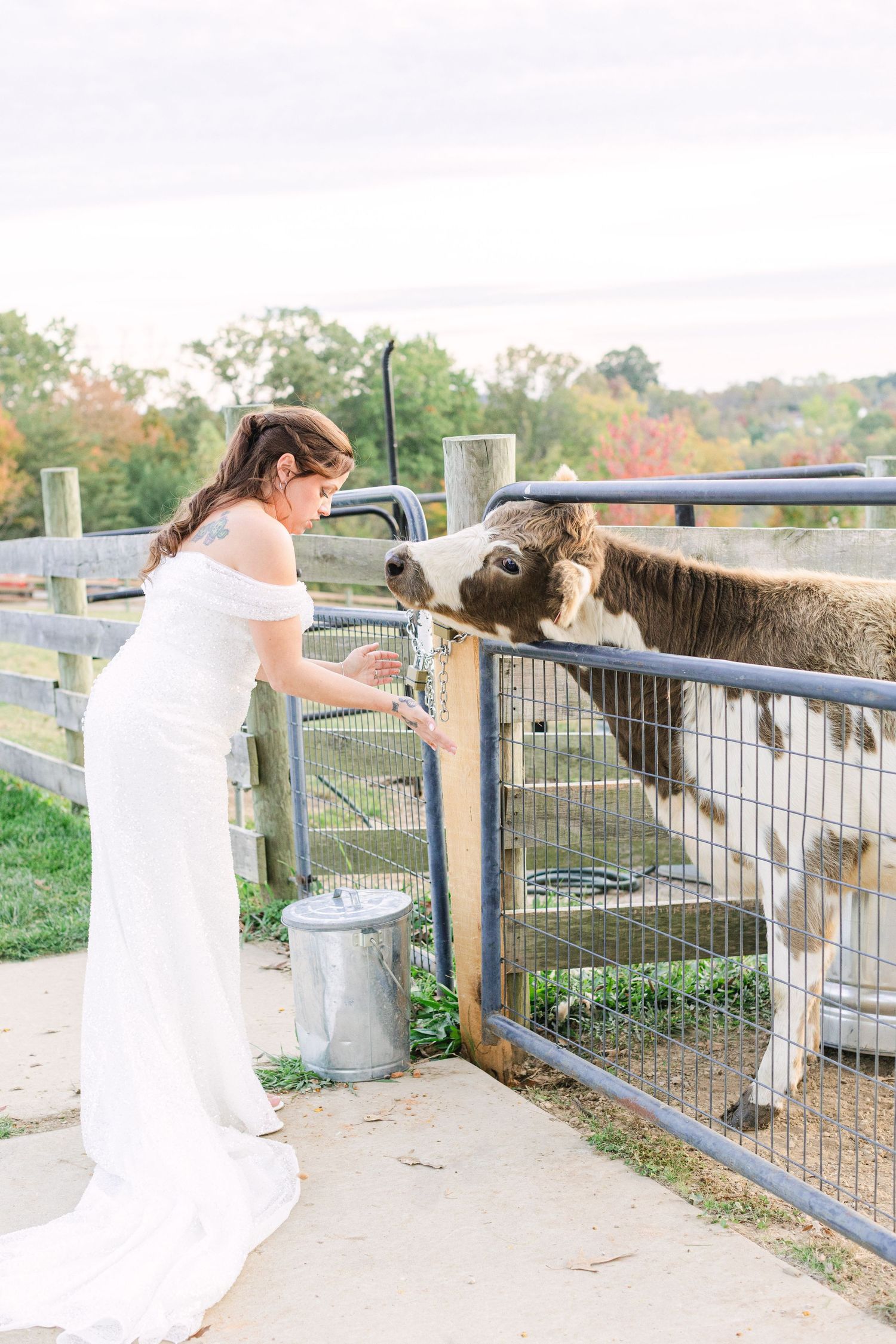 Bride in white gown feeding a donkey through a fence at a farm wedding venue.