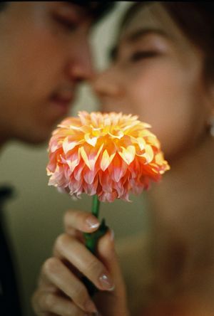 Couple sharing a romantic kiss behind a vibrant orange and pink dahlia flower in soft focus.