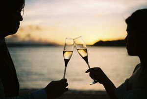 Two silhouettes toasting champagne glasses at sunset by the ocean, romantic celebration scene.