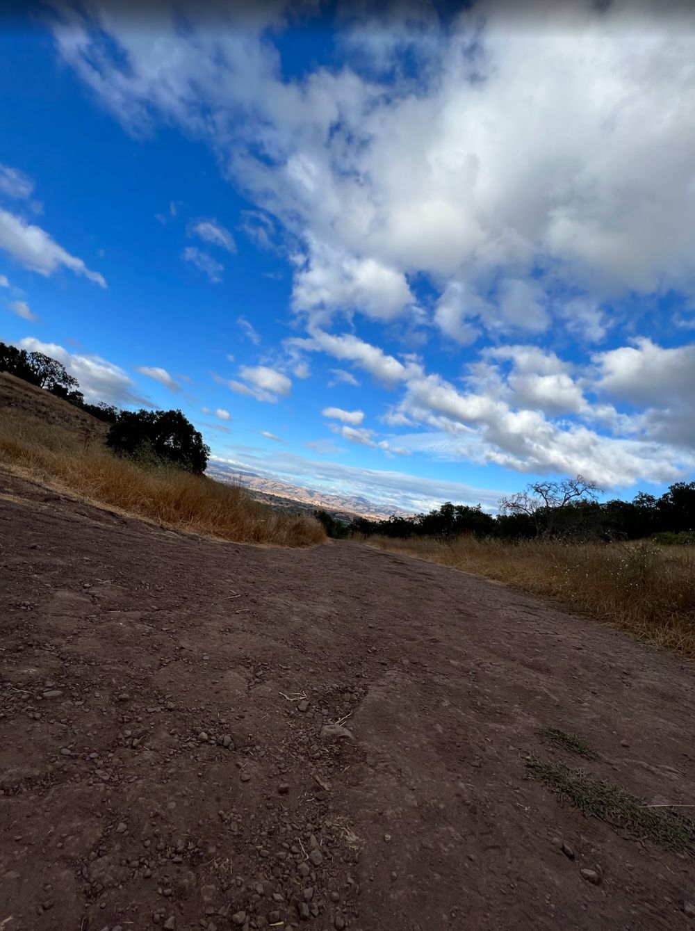 California landscape photography captured near Sausalito by Raymond C. Hansell Photography.