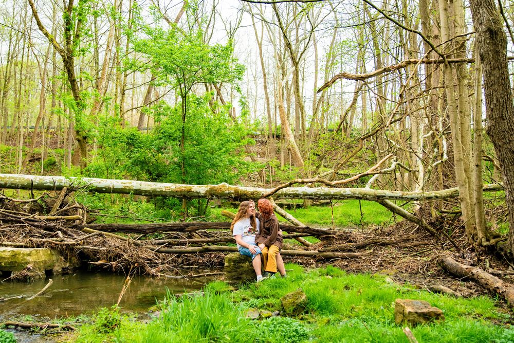 Couple sitting on fallen tree logs in lush green forest near a stream during spring engagement photo session.