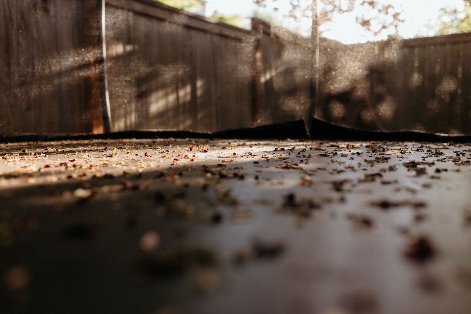 Close-up of a dirty outdoor patio surface with debris near a weathered wooden fence in dappled sunlight.