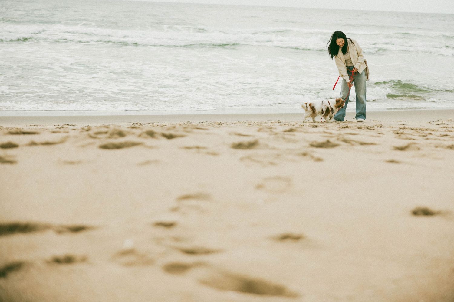 A woman walks her small dog on a leash along a sandy beach with ocean waves in the background.