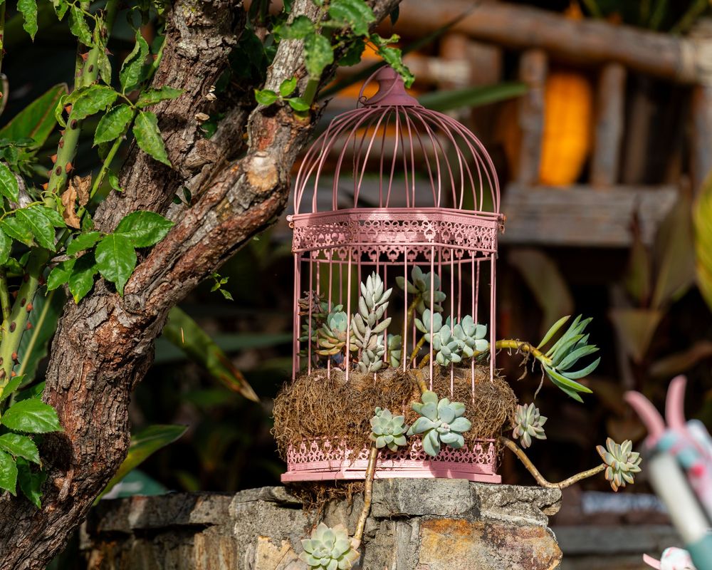 Pink decorative birdcage planter filled with succulents and moss, displayed outdoors among lush green garden foliage.