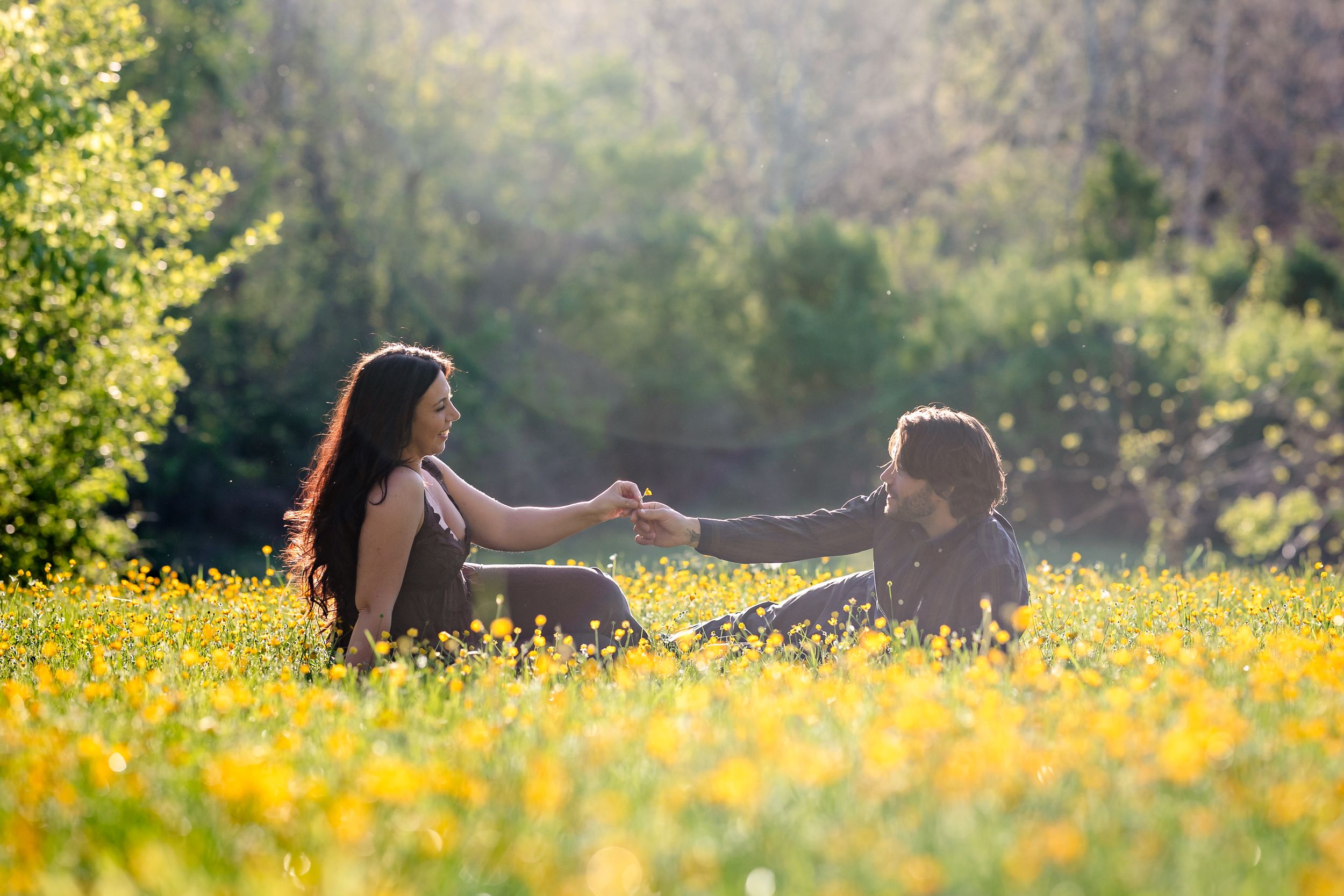 Couple holding hands while sitting in sunny wildflower meadow with golden yellow blooms.