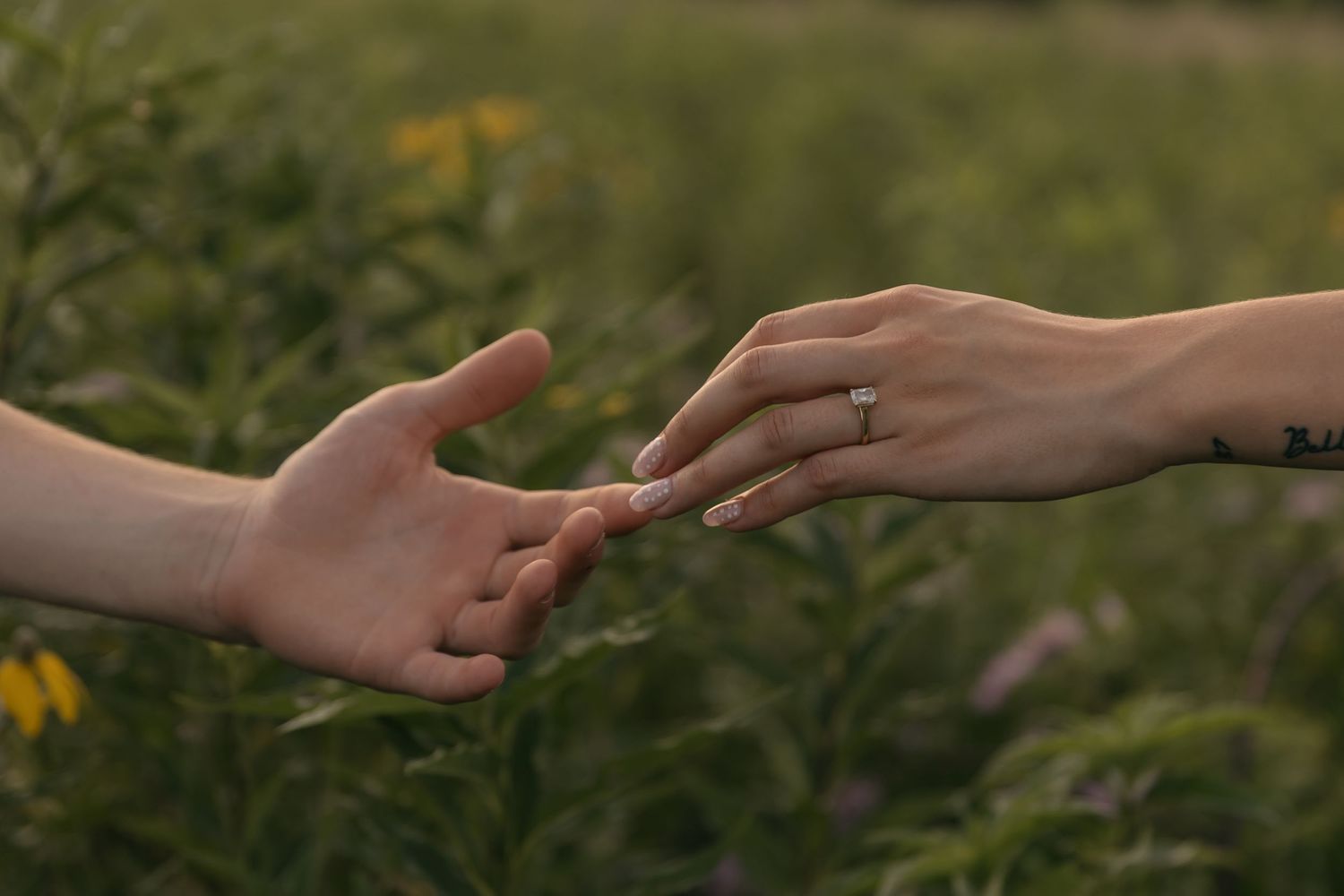 Two hands reaching toward each other in a field, one wearing a diamond ring, symbolizing love and connection.