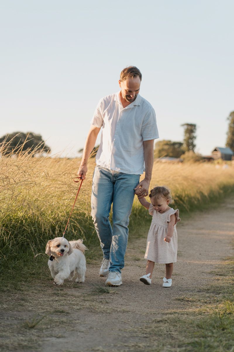 Father walking with toddler daughter and small white dog on a rural path in golden sunlight in Rouse hill family photoshoot with a dog