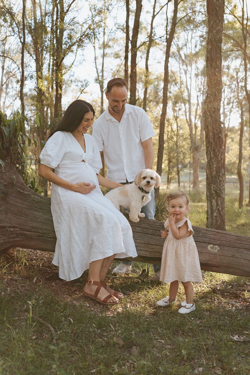 Pregnant woman in white dress sits on log with husband, toddler girl, and white dog in sunlit rouse hill park family photoshoot with a dog