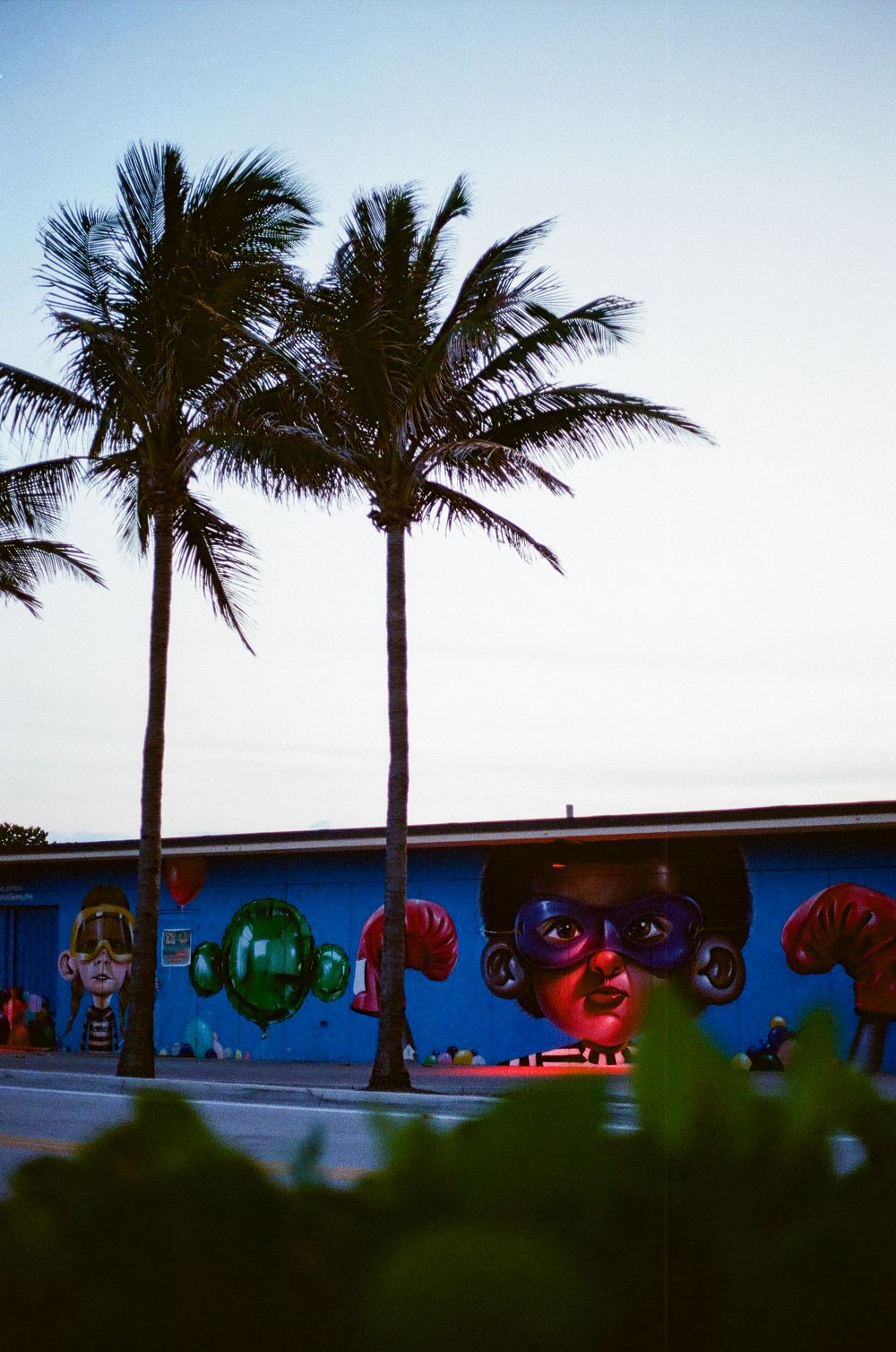 Colorful street mural with faces behind two tall palm trees against a blue sky at dusk in a tropical city.