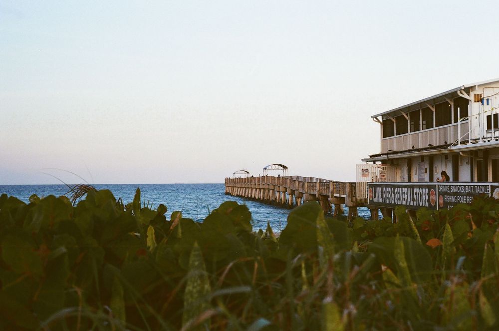 Waterfront building and pier extending into calm blue ocean at dusk with lush green vegetation in foreground.