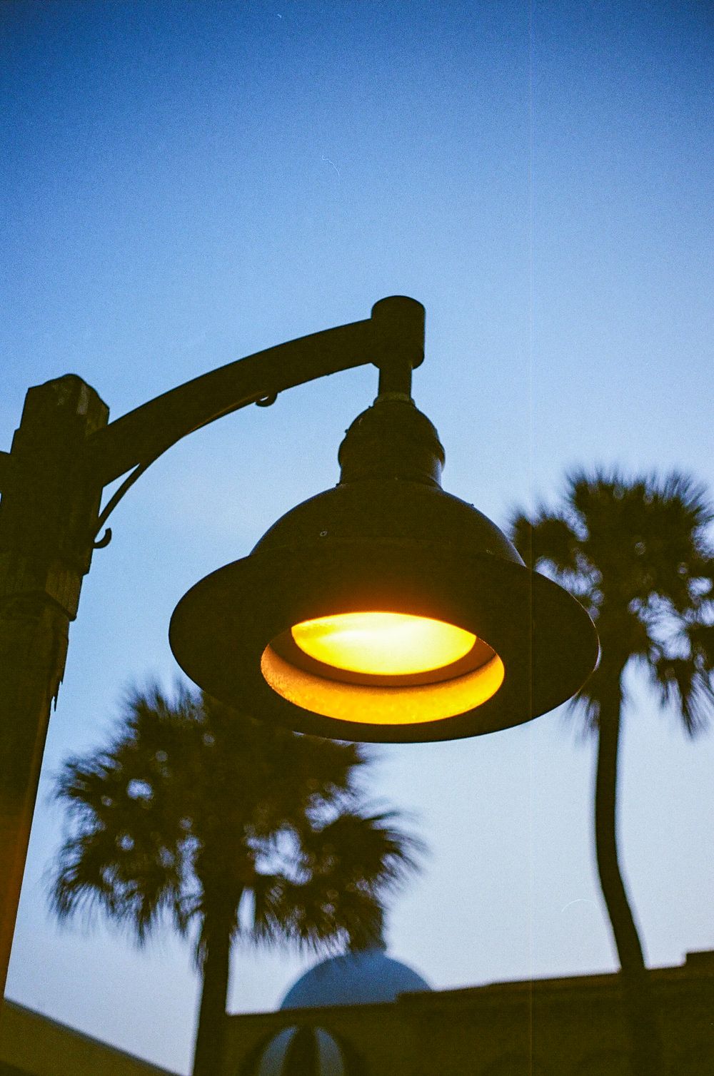 Glowing vintage street lamp silhouetted against a blue dusk sky with palm trees in the background.