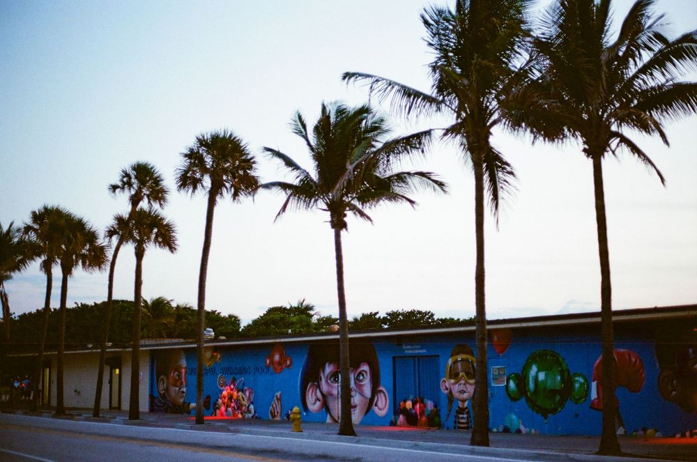 Colorful street mural on a building wall lined with tall palm trees along a sunny Florida boulevard.