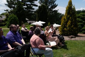Wedding guests seated outdoors under parasols watching garden ceremony on sunny day.