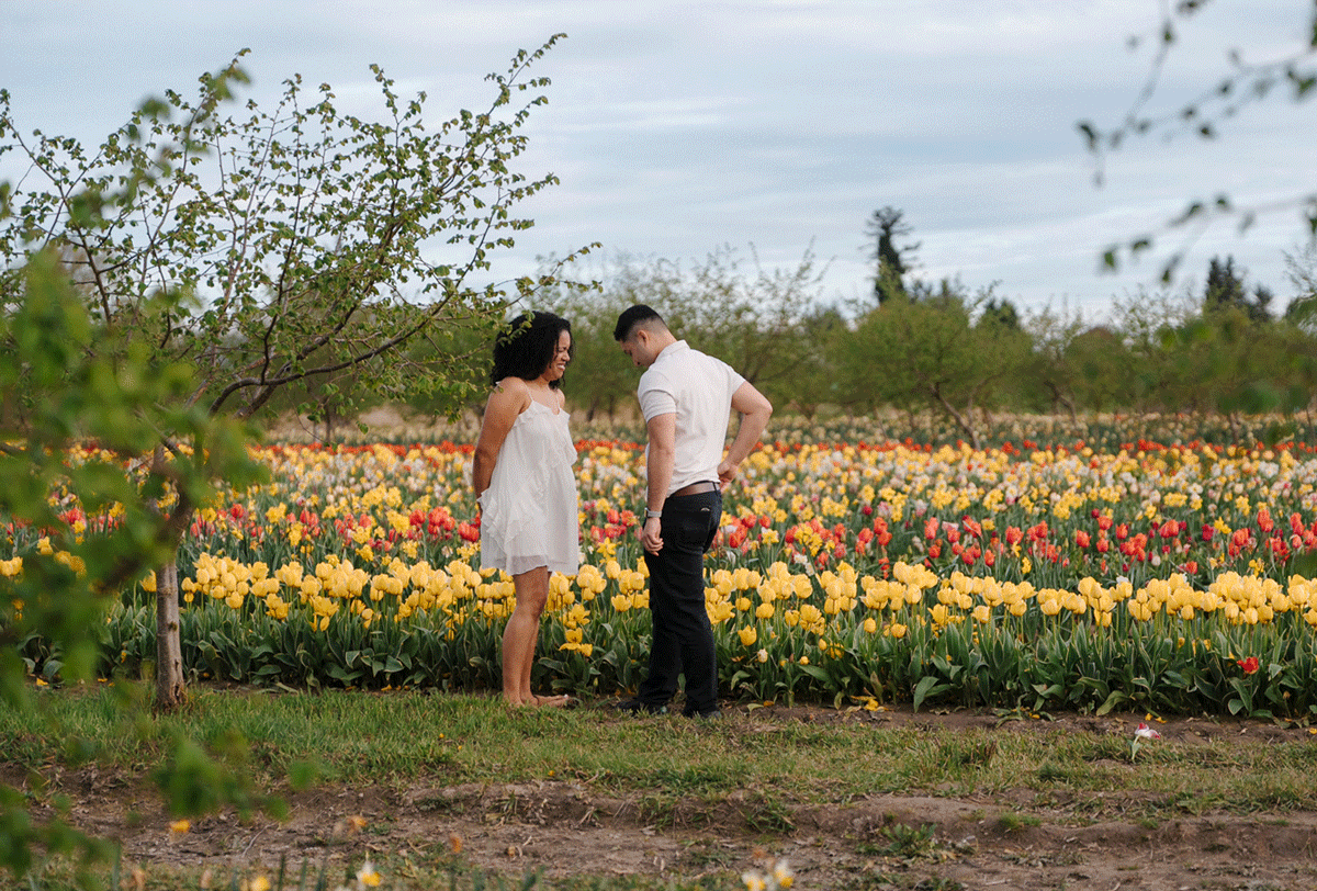 Couple standing in a vibrant tulip field with yellow and red blooms under a cloudy sky.