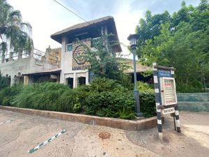 Exterior view of Festival of the Lion King theater building with tropical landscaping at Disney's Animal Kingdom.