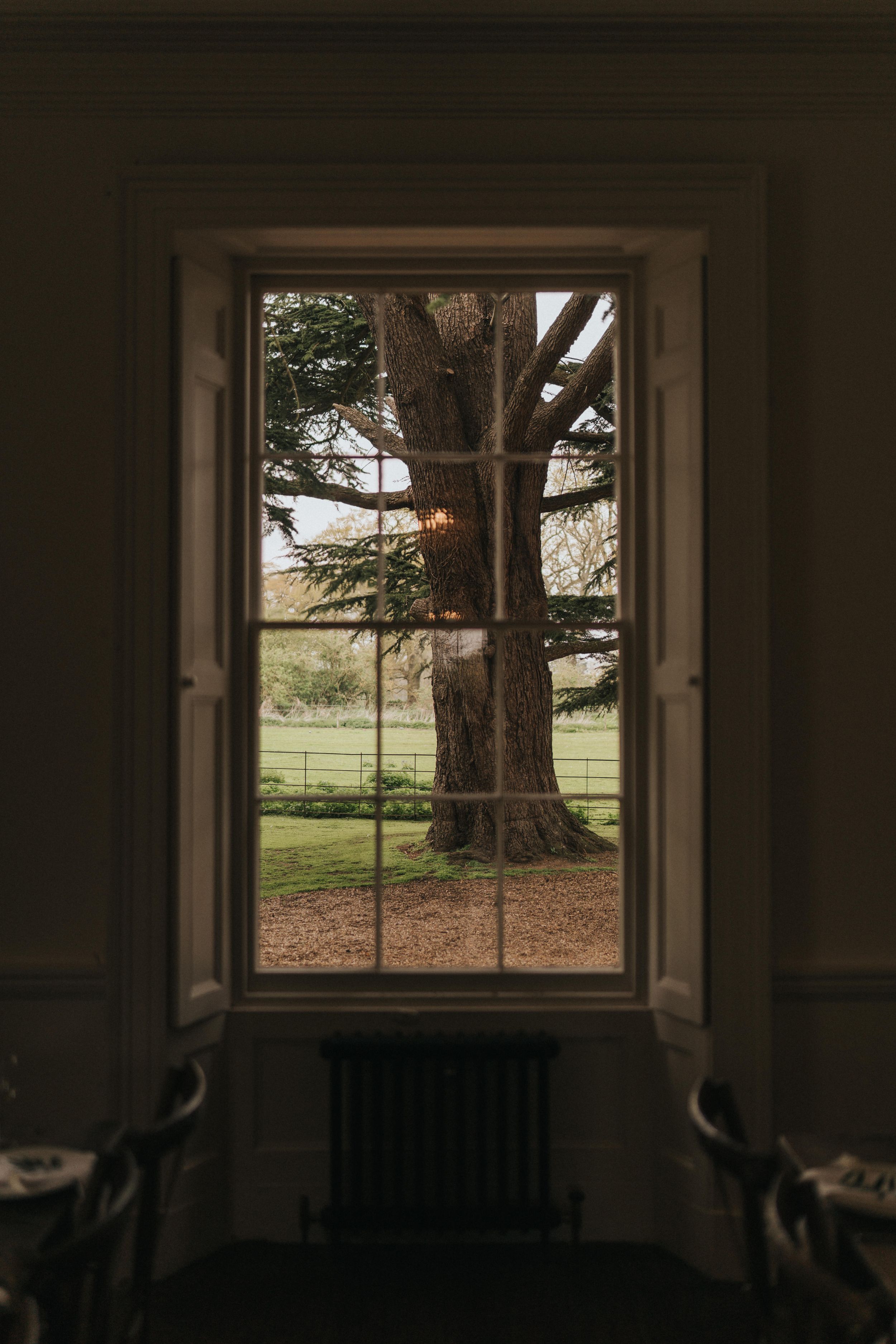 A large tree is viewed through an elegant interior window frame at dusk at Aswarby Rectory - taken by Grimsby photographer.