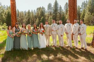 Wedding party in mint green dresses and khaki suits pose between tall pine trees in sunny forest meadow.
