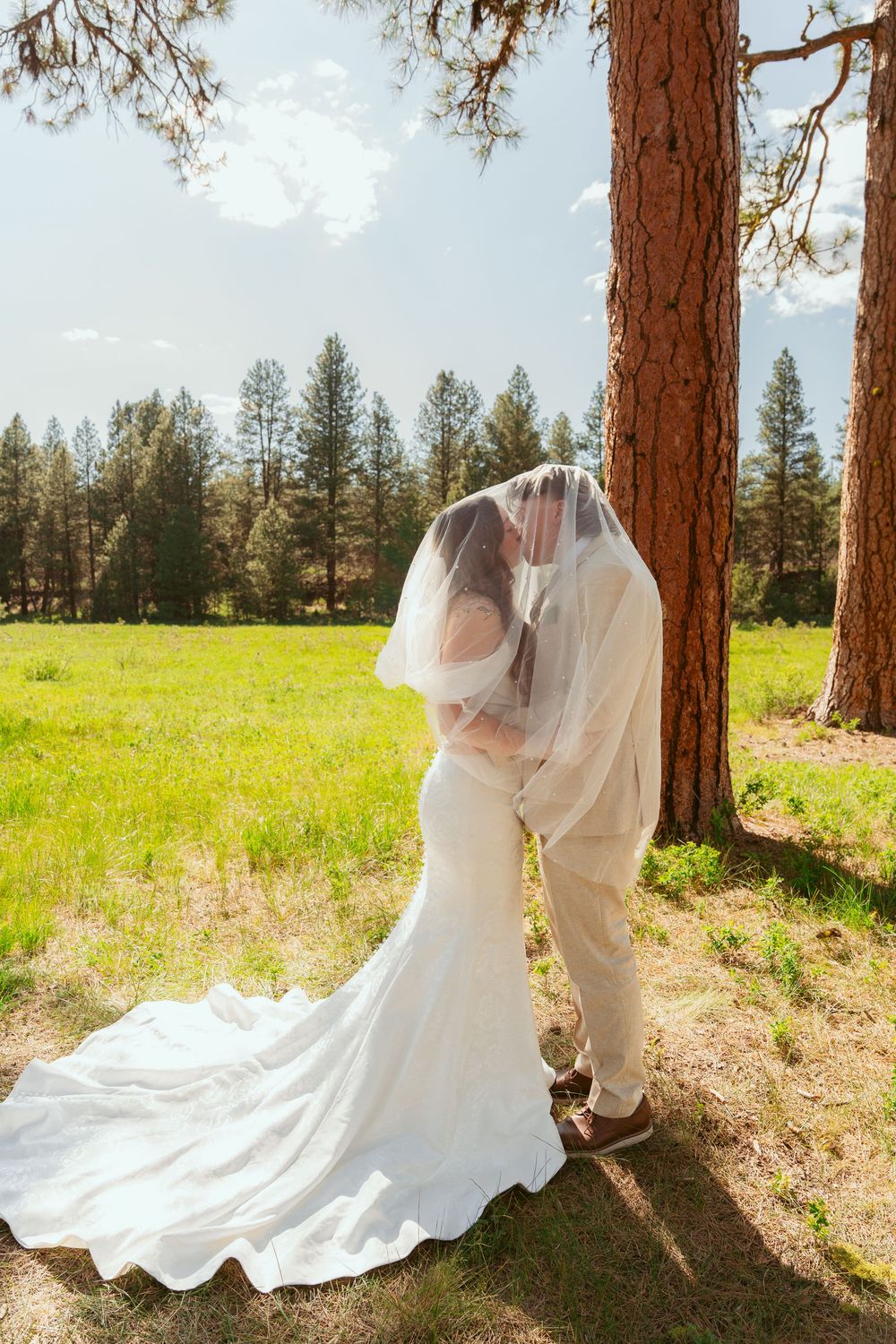 A romantic wedding moment captured beneath tall pine trees in a sunlit meadow.