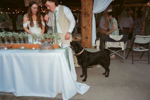 A wedding reception in a rustic barn venue with a black dog joining the celebration.