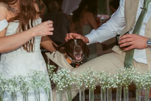 A happy dog joins the wedding celebration as the couple pets it amidst delicate baby's breath decorations.